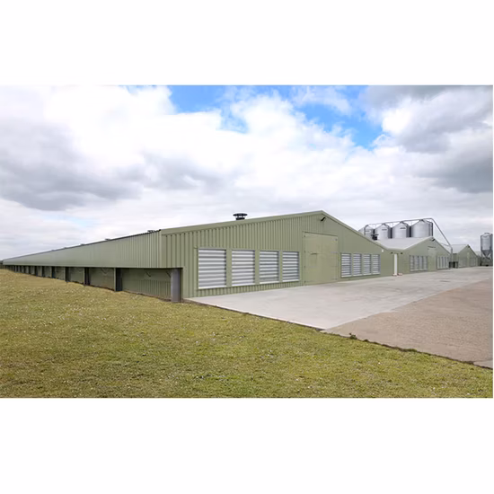 Design de layout moderno estrutura de aço camada ovo gaiola de frango frangos de corte casa de fazenda